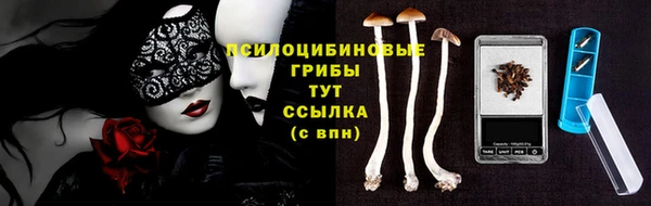 не бодяженный Протвино