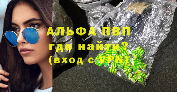 молекула духа Арсеньев