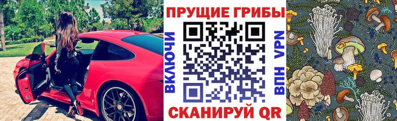 mega маркетплейс  Белгород  Галлюциногенные грибы мухоморы 